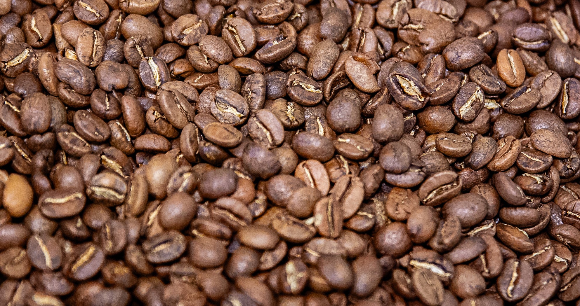 Close-up of roasted coffee beans
